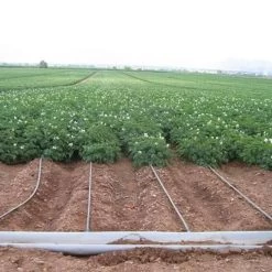 Dripnet PC 16250 30 Cm 1,0 L