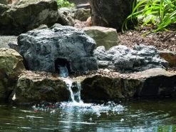 FiltoMatic Cap CWS XL -Gartenpflege 50269 2 53