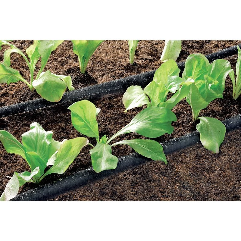 Claber Schwitzschlauch 15 M 7 Claber Schwitzschlauch 15 M – Bild 5