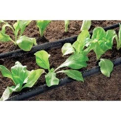 Claber Schwitzschlauch 25 M -Gartenpflege 90351 3 53