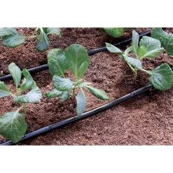 Claber Tropfrohr 1/2", 33 Cm, 2,0l/h, 25 M 9 Claber Tropfrohr 1/2", 33 Cm, 2,0l/h, 25 M -Gartenpflege 90355 3 53