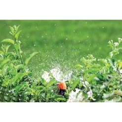 Nebeldüse (Spieß) 10 Nebeldüse (Spieß) -Gartenpflege 91229 3 53