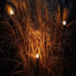 Standleuchte Erba 12V -Gartenpflege lp 222p 2 51