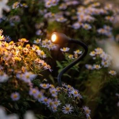 Standleuchte Xible 12V -Gartenpflege lp 224s 3 51