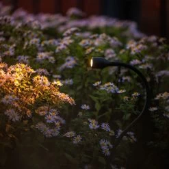 Standleuchte Xible 12V -Gartenpflege lp 224s 4 51