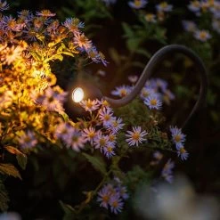 Standleuchte Xible 12V -Gartenpflege lp 224s 5 51