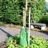 Treegator Baum-Bewässerung, 55L
