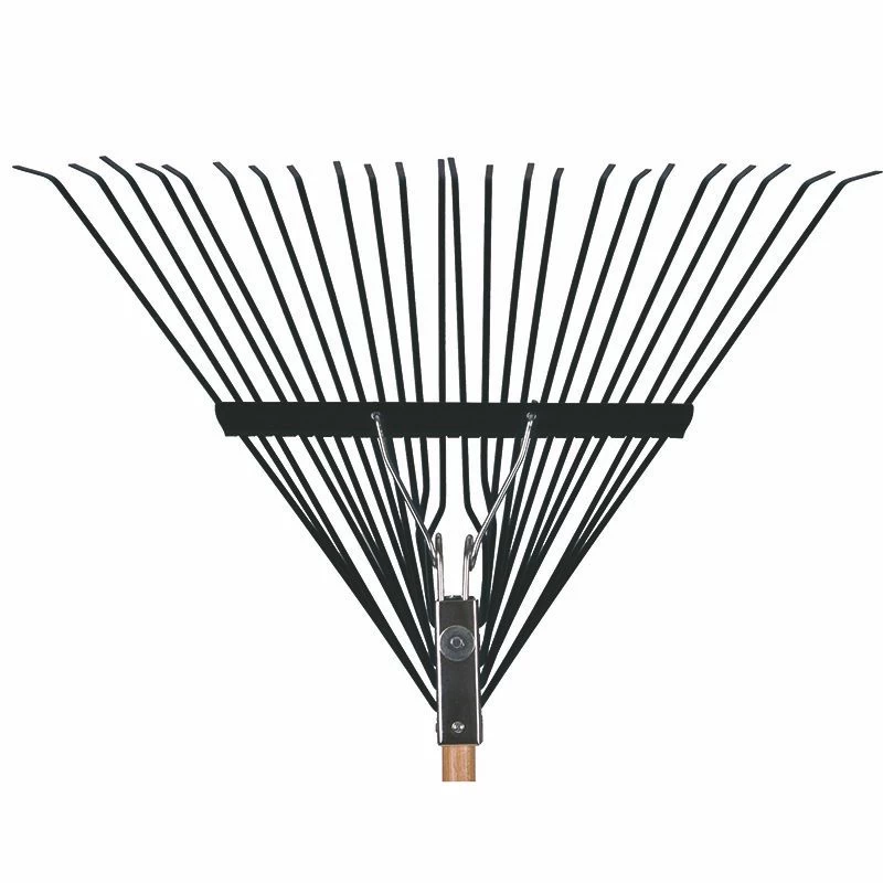 Amerik. Laubrechen, Stahlhaupt, Eschestiel 5 Amerik. Laubrechen, Stahlhaupt, Eschestiel – Bild 3