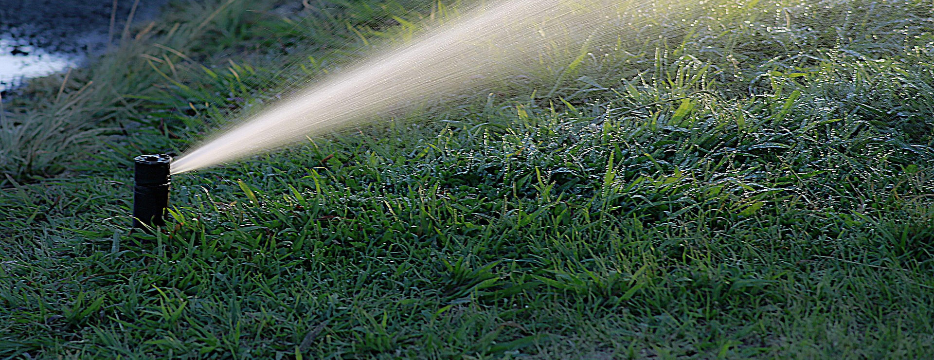 Gartenpflege 4 Gartenpflege -Gartenpflege water 1544808 1920